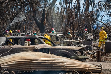 Hawaii Wildfire Support