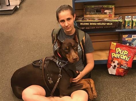 Can a Doberman Pinscher Be a Service Dog? - Doberman Planet