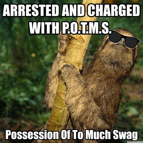 14 Sloth Memes That Will Quickly Make Your Day More Exciting