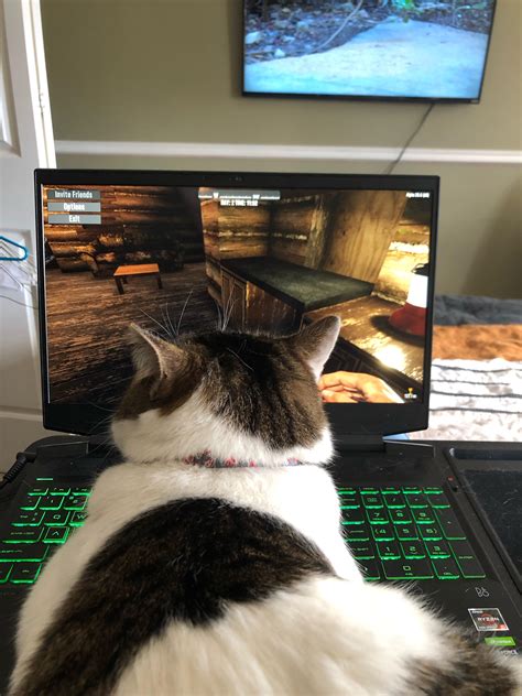 Game so good even my cat wants to play!! : r/7daystodie