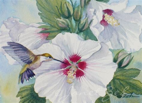 Zeh Original Art Blog Watercolor and Oil Paintings: Ruby-throated Hummingbird and Hibiscus ...