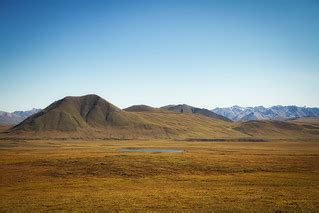 Arctic tundra | View from the Dalton Highway, as summer here… | Flickr