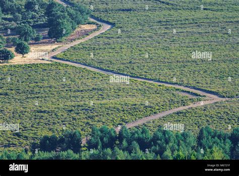 Zig Zag track Stock Photo - Alamy