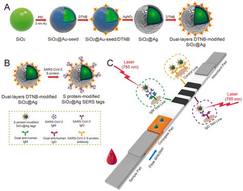 SERS biosensors may control the spread of COVID-19