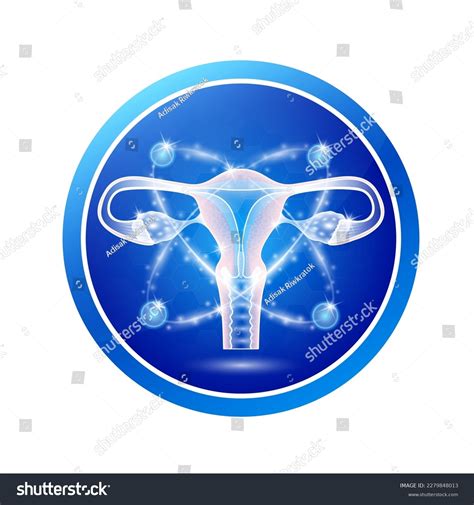 Female Uterus Health Care Labels Circle Stock Vector (Royalty Free) 2279848013 | Shutterstock