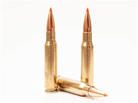 308 vs 556 - 2022 Comparison - Gun Mann