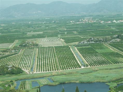 File:Croatia agriculture-3.jpg - Wikimedia Commons