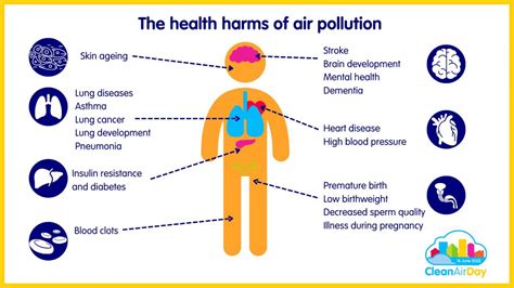 Clean Air Day 2022: Air pollution impacts every organ in the body - REHIS