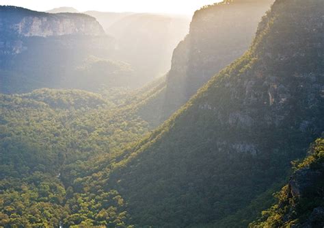 WOLLEMI NATIONAL PARK NSW