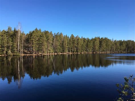 Hiking Korpinkierros Trail in Nuuksio National Park - Travel Jael