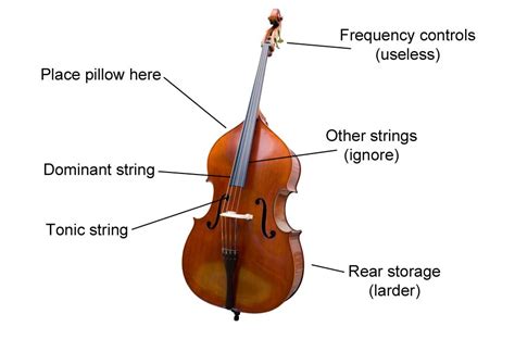 Musical instrument instruction diagrams: get to know your instrument - Classic FM