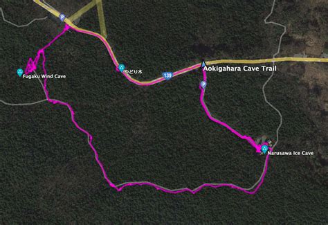 Aokigahara Forest Map