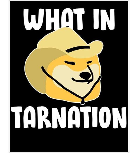 What In Tarnation Meme Discover more interesting Animal, Cowboy, Cowboy Hat, Dog memes. https ...