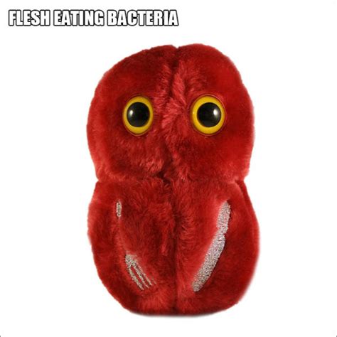 Cute Plush Versions Of Serious Disease Bacteria (20 pics) - Izismile.com