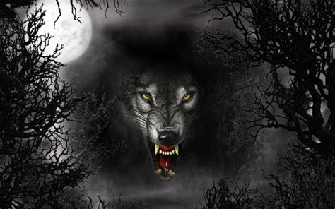 Black and White Wolf Wallpaper - WallpaperSafari