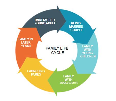 [Solved] Family Life Cycle Stage I need the Key Principles of Emotional... | Course Hero