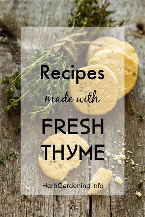 Recipe Roundup: Recipes Using Fresh Thyme | Fresh herb recipes, Thyme ...