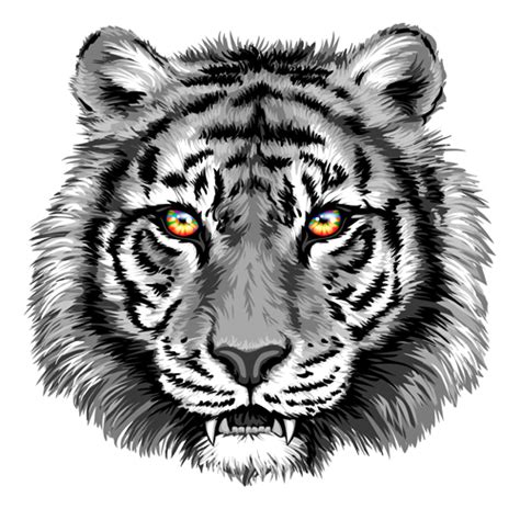 Gray tiger head vector free download