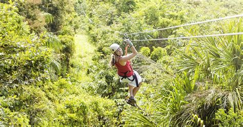 Maui Ziplines - Discount Tickets for the Best Ziplining in Maui | Cool places to visit, Places ...