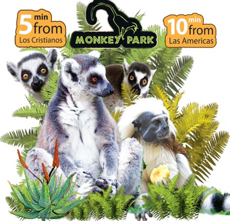 Monkey park one of the natural parks in Tenerife - Tenerifesurprise