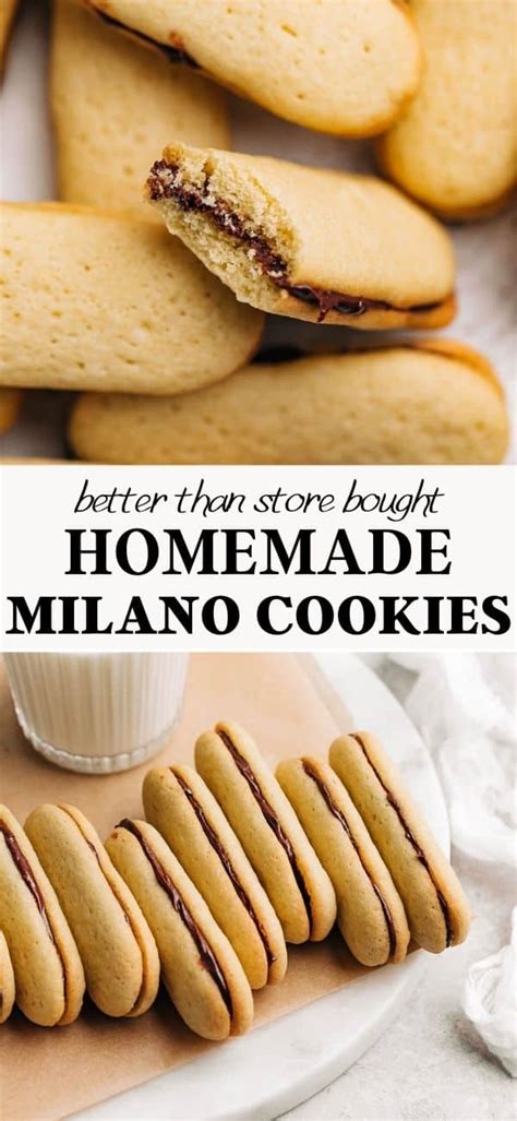 Homemade Milano Cookies - Baked Ambrosia