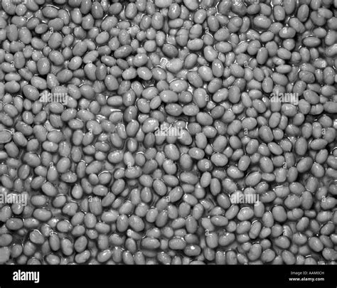 1950s BAKED BEANS Stock Photo - Alamy