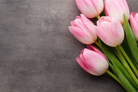 HD wallpaper: white and pink petaled flowers, tulips, peonies, lilys of the valley | Wallpaper Flare