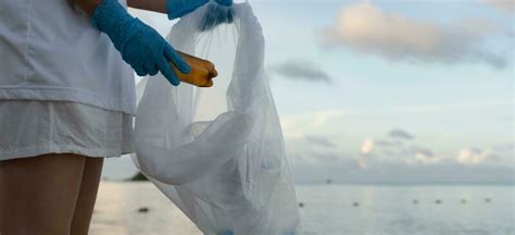 Plastic Bag Pollution Stock Photos, Images and Backgrounds for Free Download