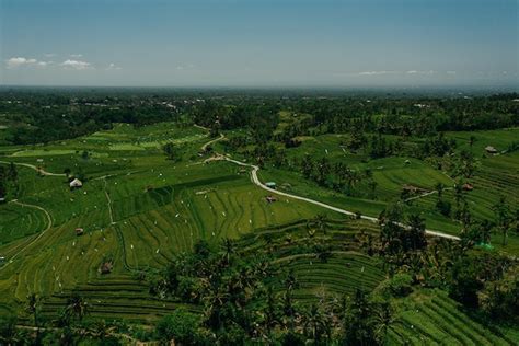 Desa Wisata di Bali, Memiliki Tantangan dan Upaya