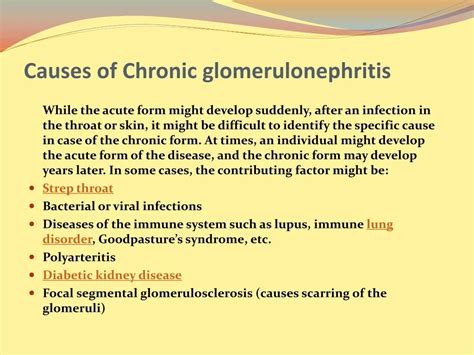 PPT - Chronic Glomerulonephritis: Symptoms, Causes and Treatment PowerPoint Presentation - ID ...