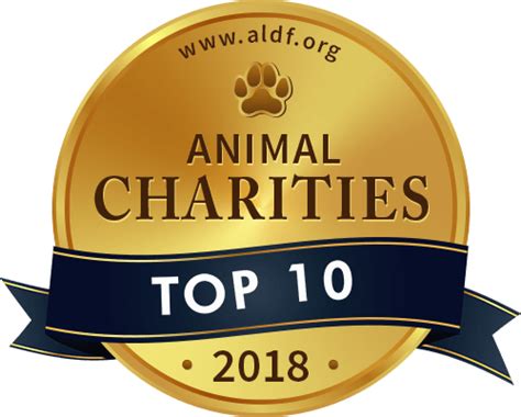 10 Best Animal Charities of 2019 | Top Dog Tips Awards Program