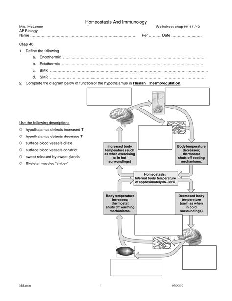 Cerebrospinal Homeostasis Worksheet Answers - Printable Calendars AT A ...