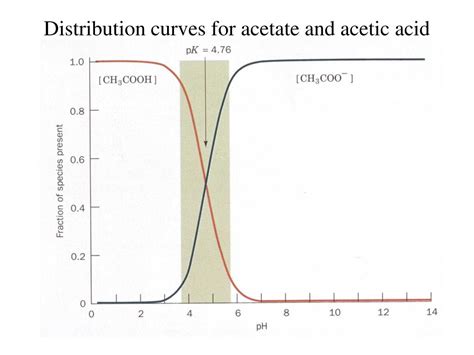 PPT - Acids and Bases 9 / 03 / 2009 PowerPoint Presentation, free download - ID:3016139