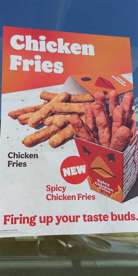 Burger King Spicy Chicken Fries - Truth in Advertising