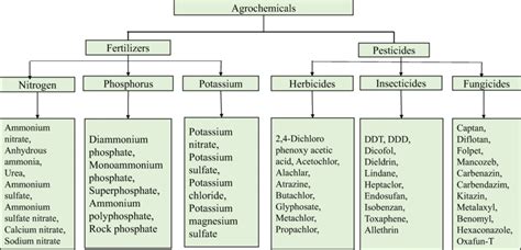 Agro Chemicals And Their Effects