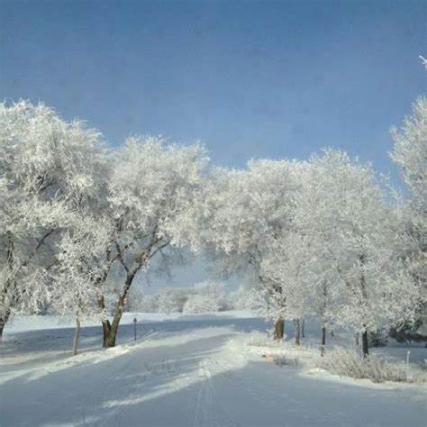 A beautiful winter in Saskatchewan | Saskatchewan, Landscape, Winter time