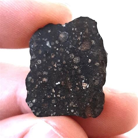 NWA 13030. CV3, Carbonaceous chondrite meteorite. Very thin - Catawiki