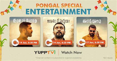 YuppTV Blog | Indian TV Channels Live Streaming | Cricket Live: Get into the festive groove with ...