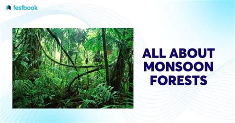 Monsoon Forest: Understand Origin, Types, Importance in Detail