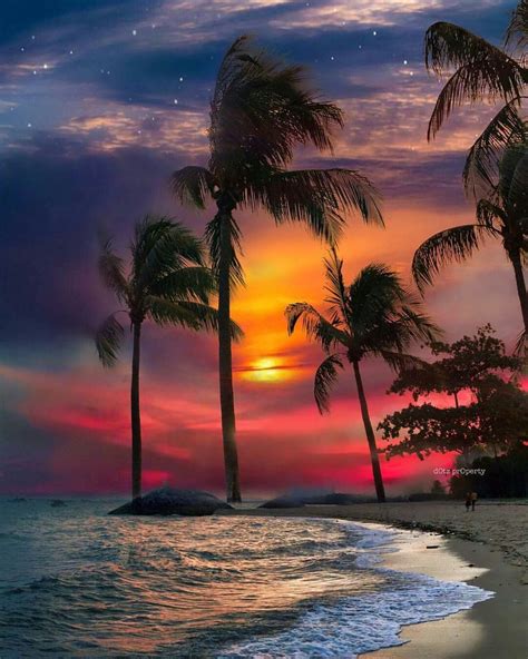 Tropical sunset | Beach pictures, Beautiful landscapes, Scenery