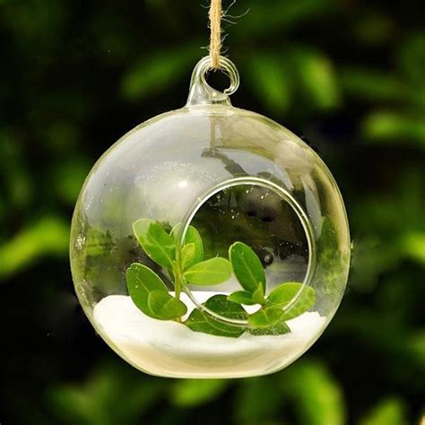 6cm Glass Hanging Planter Air Plant Terrarium Globe Container