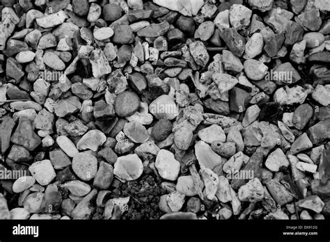 black and white shingles Stock Photo - Alamy