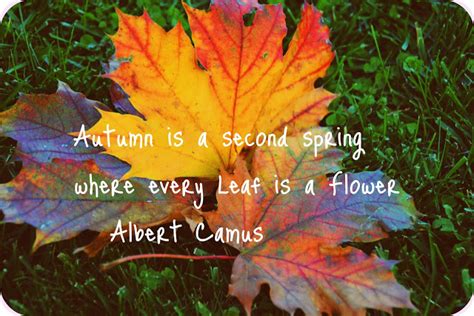 Funny Autumn Quotes | Autumn Weddings Pics