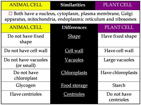 Top 142 + Plant cell and animal cell difference between - Inoticia.net