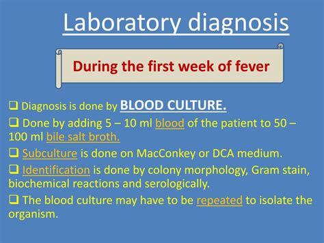 PPT - SALMONELLA PowerPoint Presentation, free download - ID:5622499