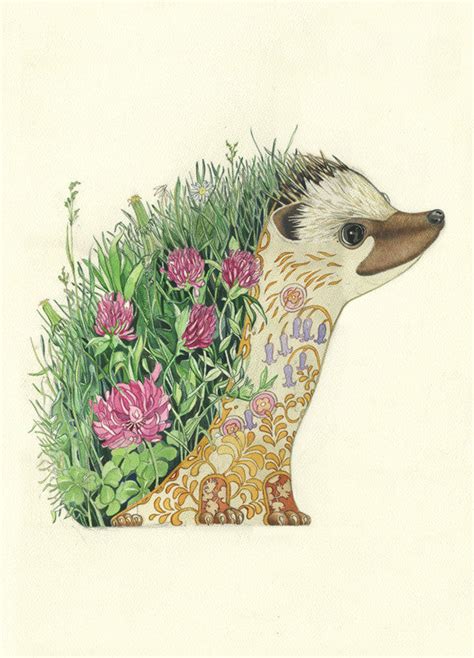 Hedgehog - Print | The DM Collection