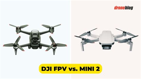 DJI FPV vs. Mini 2 (Here's My Choice) - Droneblog