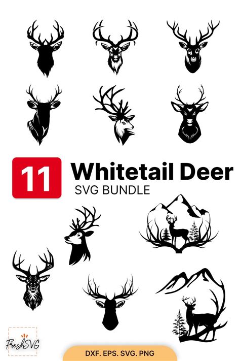 Whitetail Deer SVG Whitetail Deer Bundle SVG Silhouette - Etsy in 2023 ...