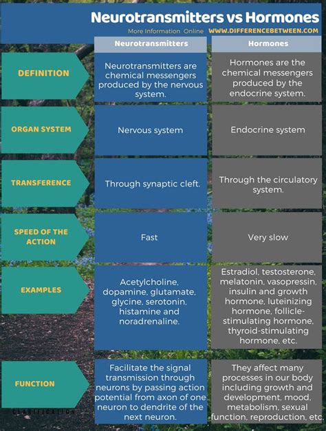 Difference Between Neurotransmitters and Hormones in Tabular Form | Pharmacology nursing, Brain ...