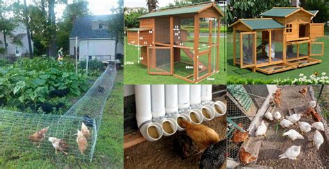 50 Beautiful DIY Chicken Coop Ideas You Can Actually Build ...